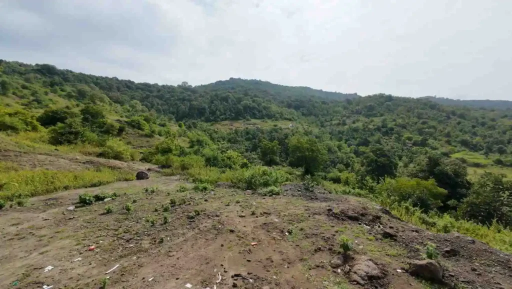 mahurgad renuka mata mandir