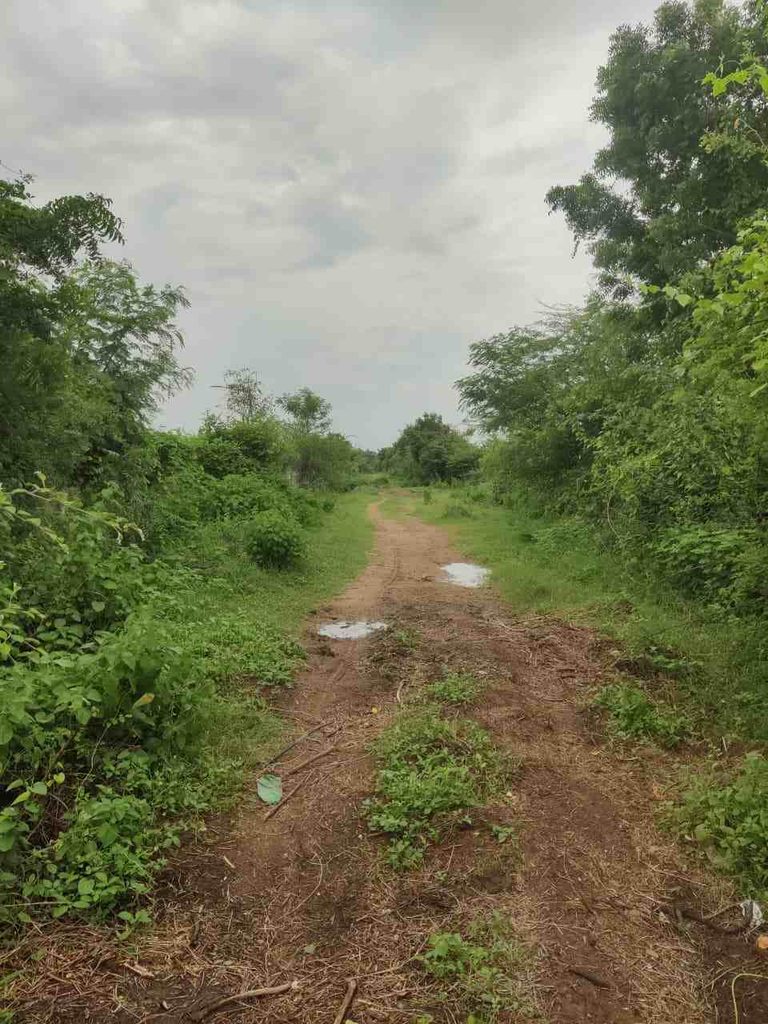 Muddy route to Gandhari-Bokkalagutta Waterfall