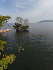 Pakhal Lake