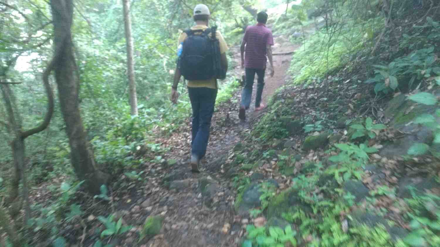 Devkund Waterfall Trek Trail into forest