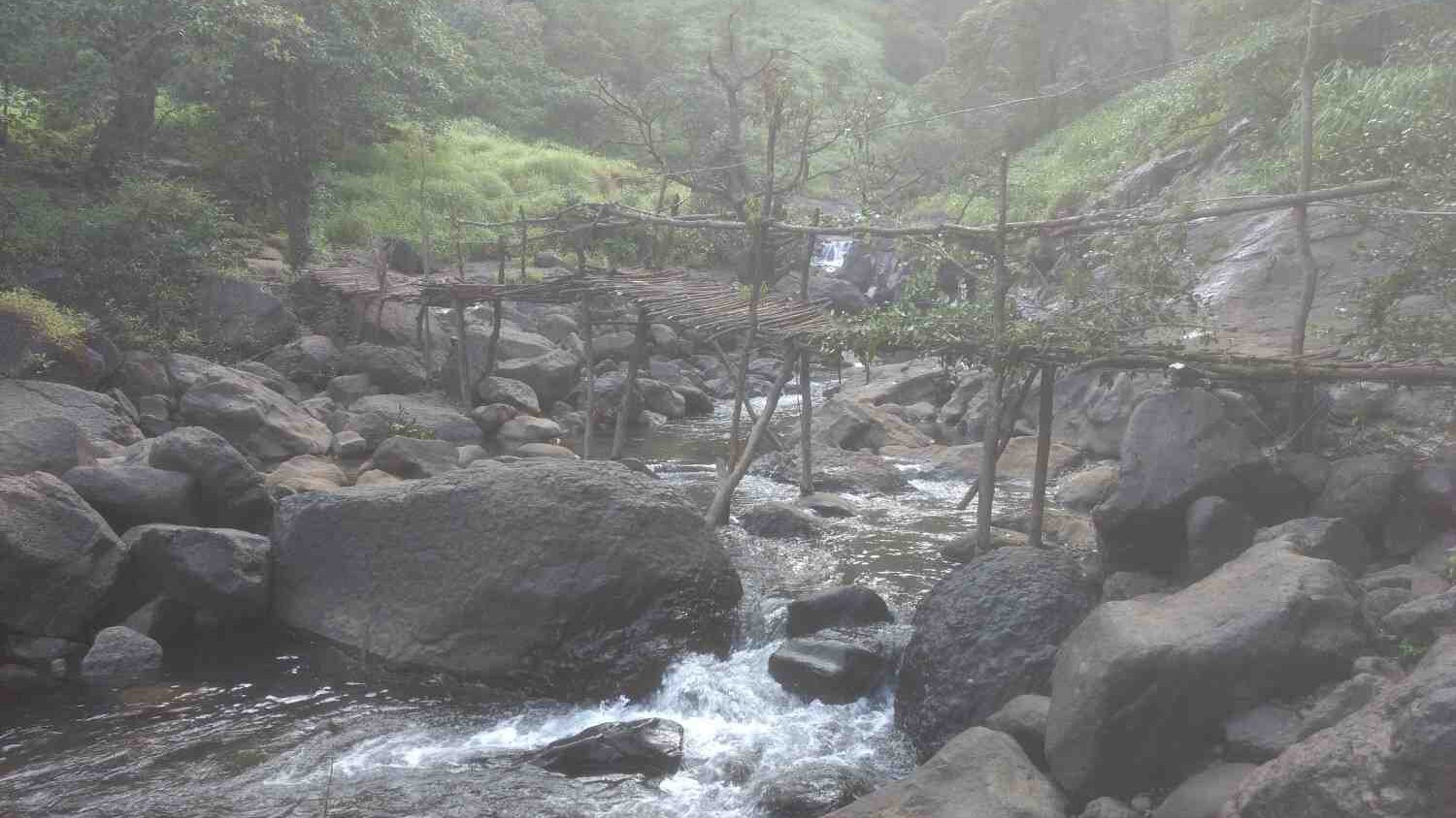 Wooden Bridge on the Devkund Waterfall Trek