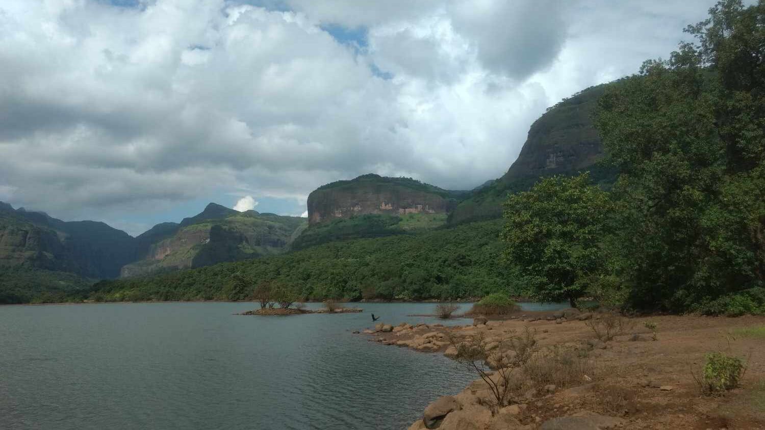 bhira dam back water
