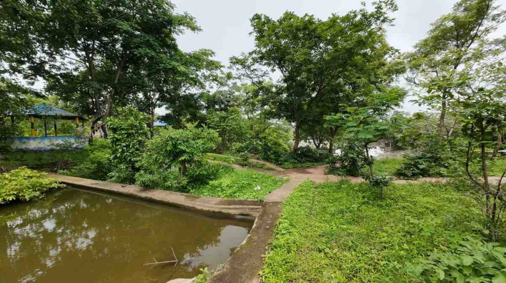 pochera waterfalls surrounding area