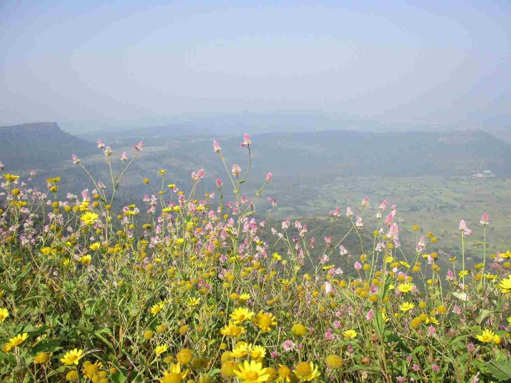 Beautiful scenery view from visapur fort