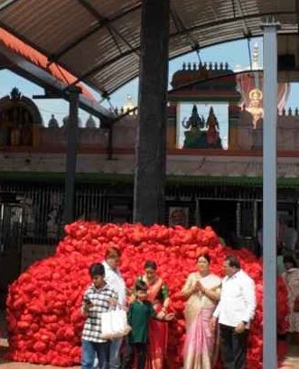 Muddi at Manasa Devi Temple