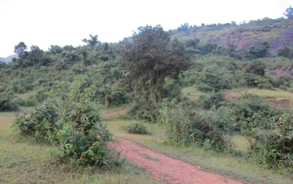 Visapur Fort trek route from patan goan