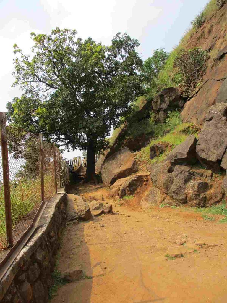 caves in lonavala
